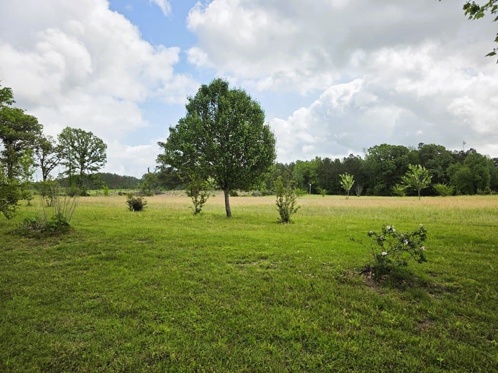 10 acres in Texas County gallery image 4