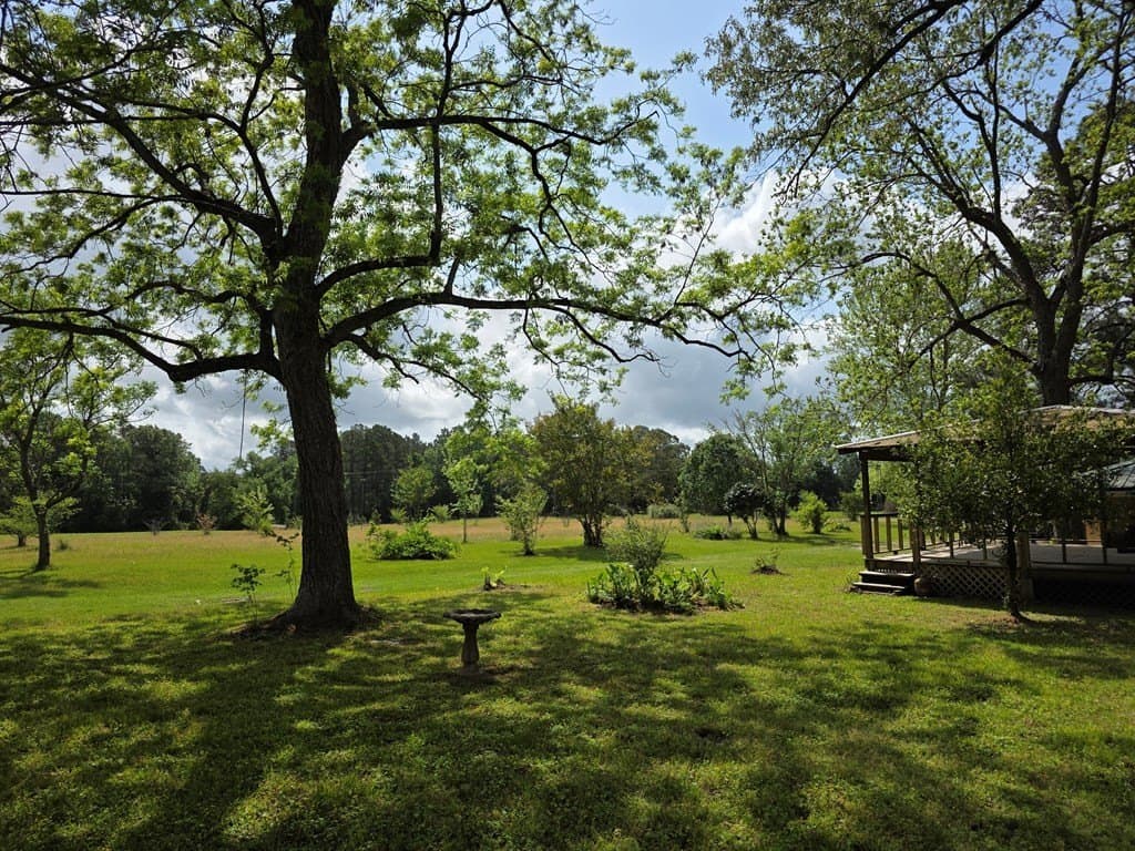 10 acres in Texas County - photo 39