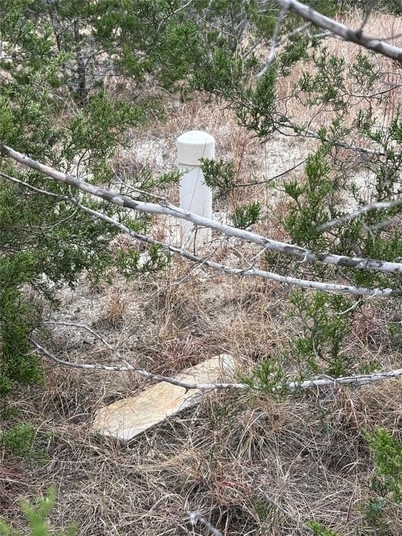 10 acres in Hays County - photo 14