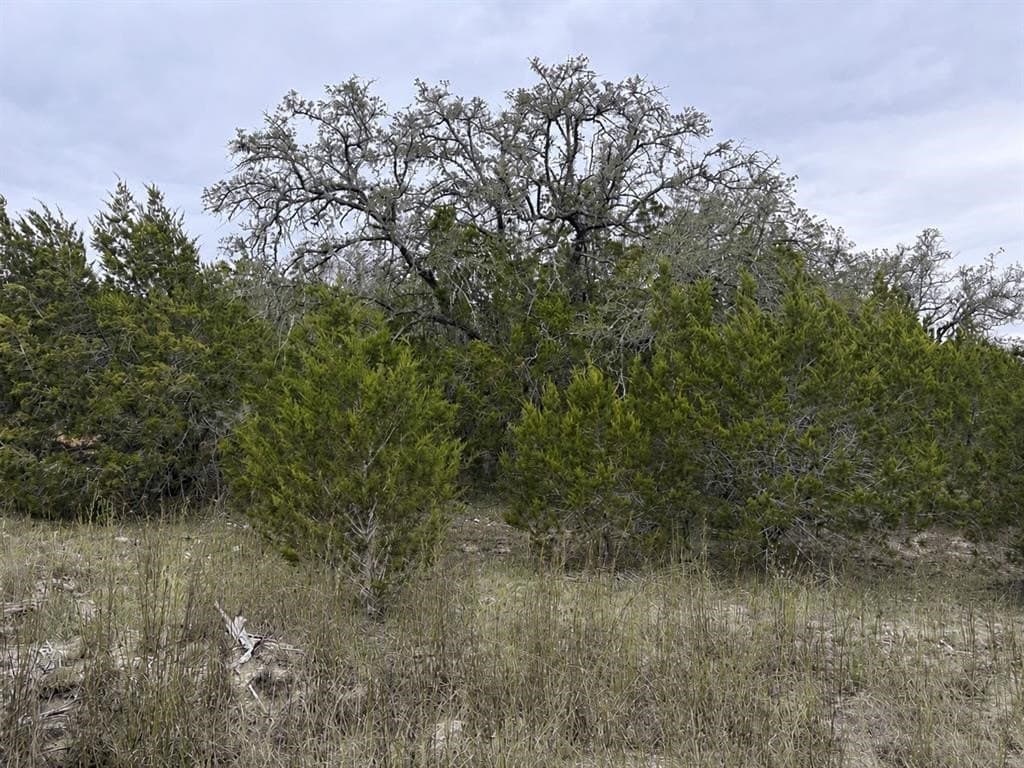 10 acres in Hays County - photo 11