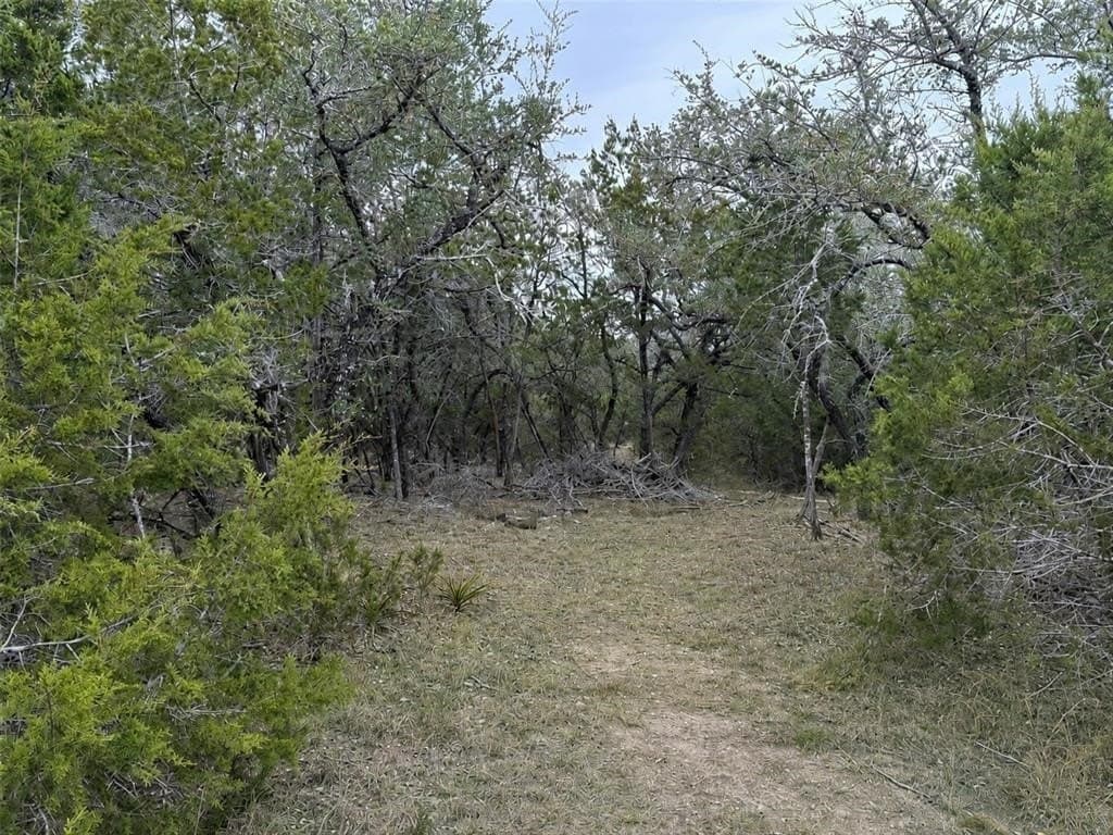 10 acres in Hays County - photo 10
