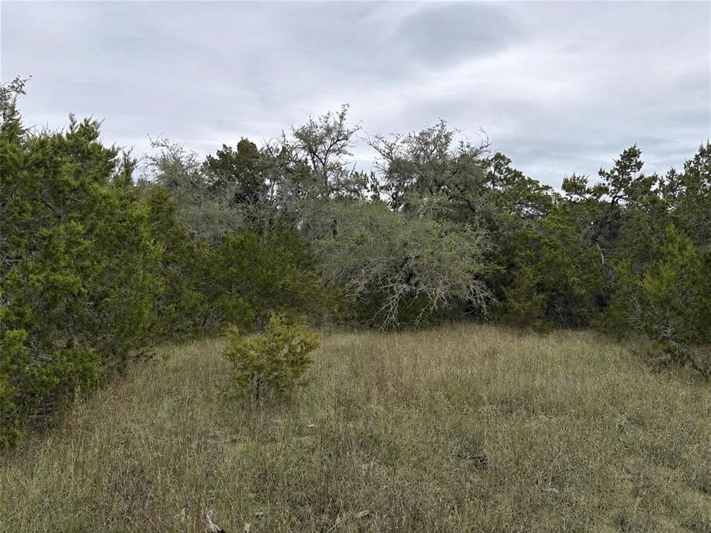 10 acres in Hays County gallery image 4