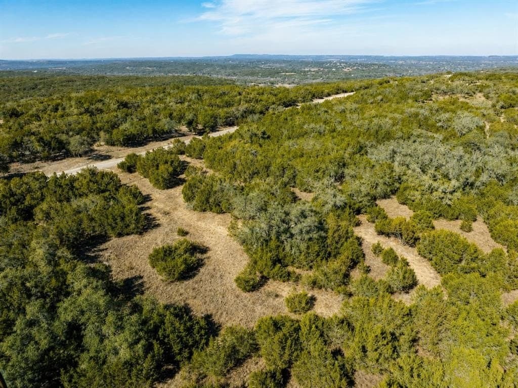 10 acres in Hays County - photo 9