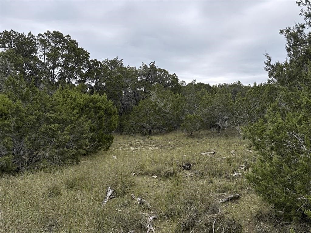 10 acres in Hays County - photo 12