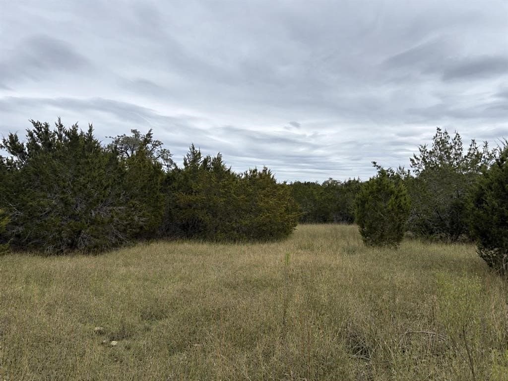 10 acres in Hays County gallery image 2