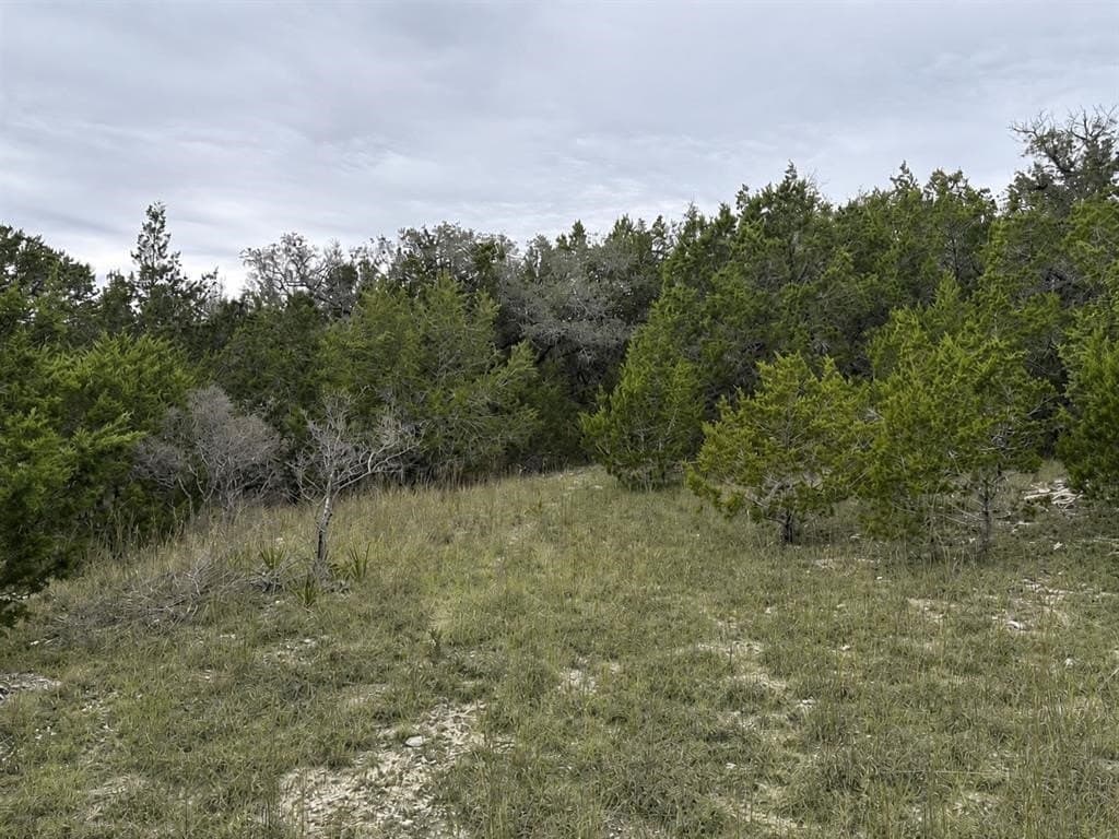 10 acres in Hays County gallery image 3