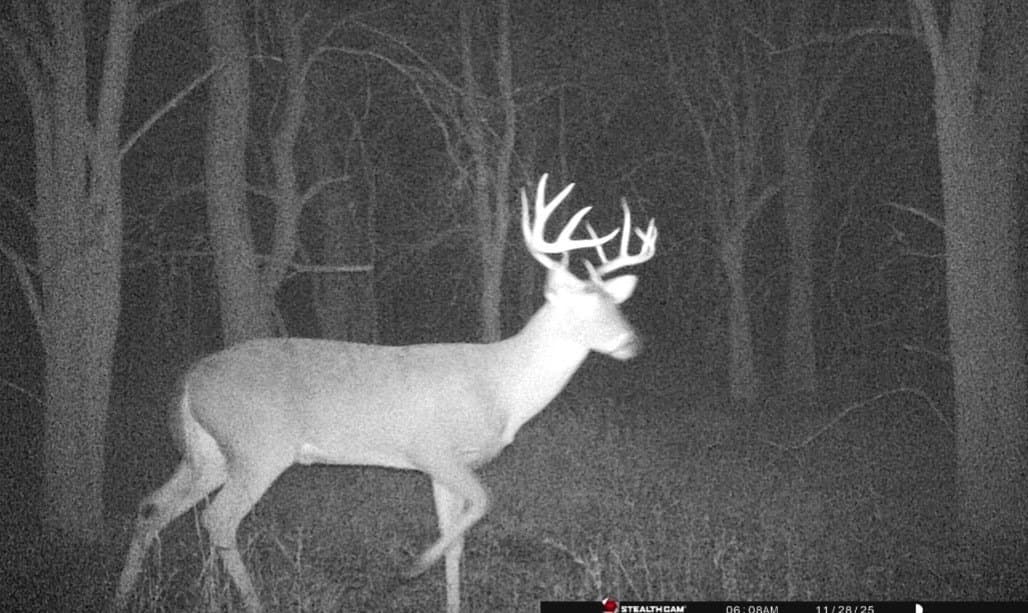 21.47 acres in Navarro County - photo 25