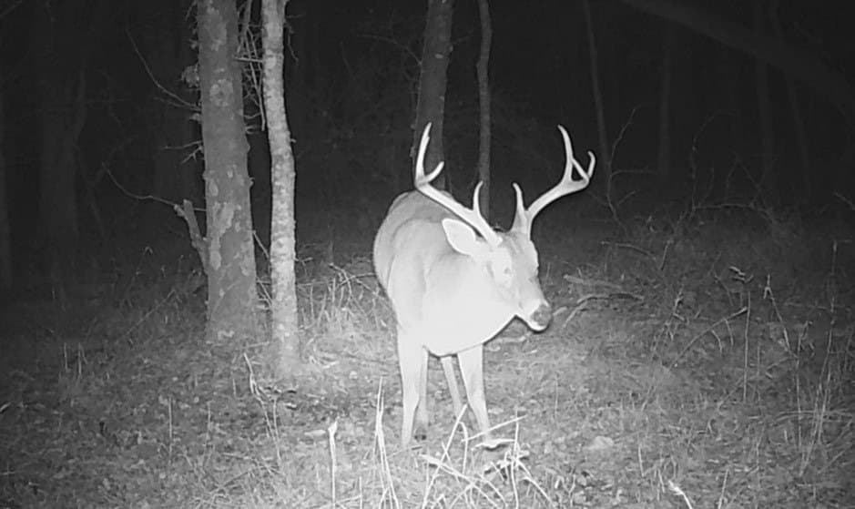 21.47 acres in Navarro County - photo 22