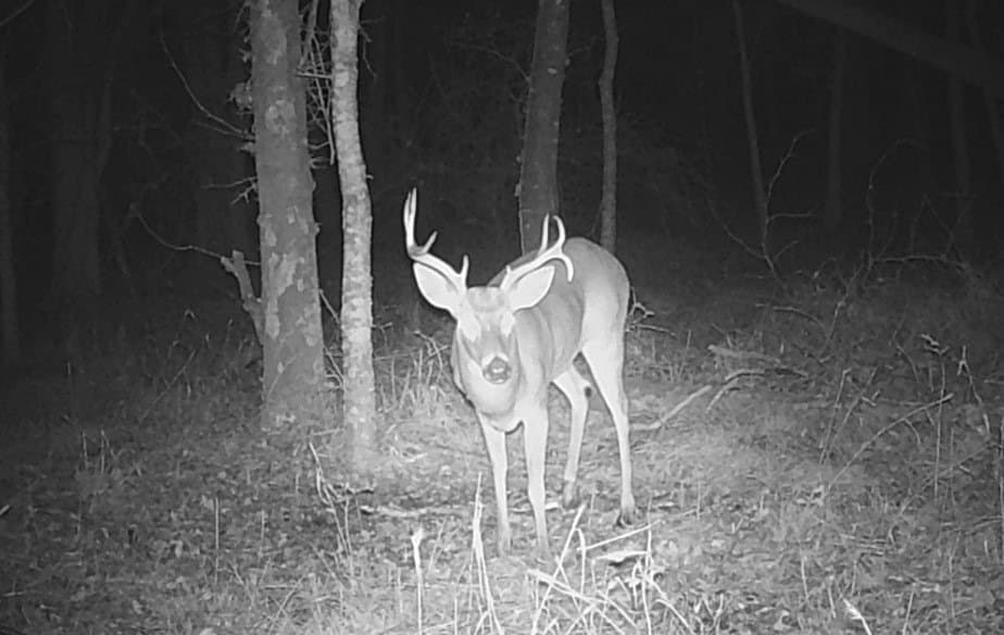 21.47 acres in Navarro County - photo 16