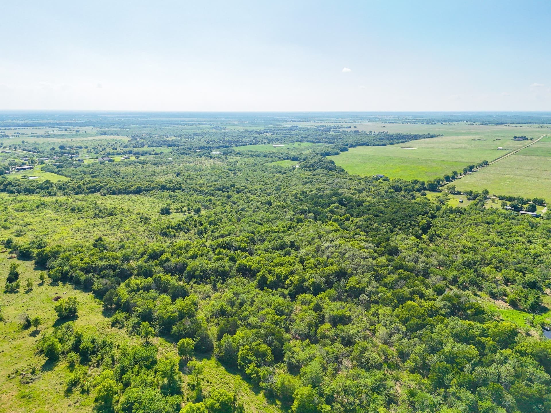 21.47 acres in Navarro County - photo 8