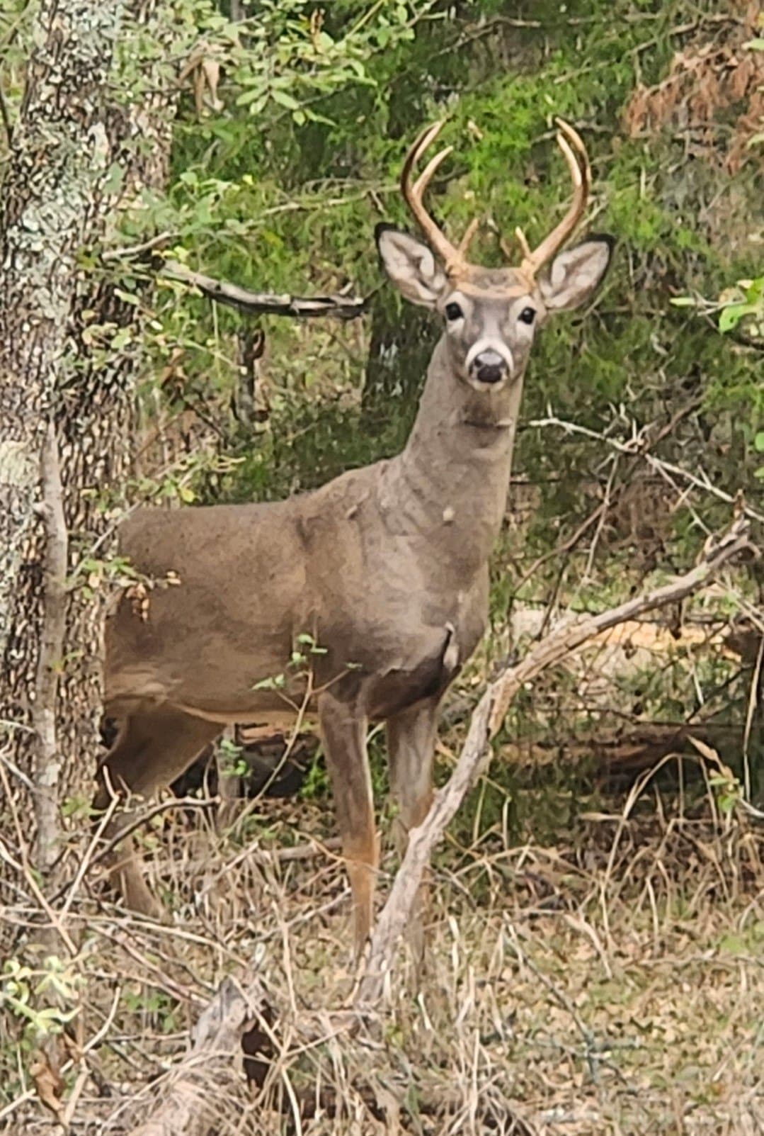 21.47 acres in Navarro County - photo 18