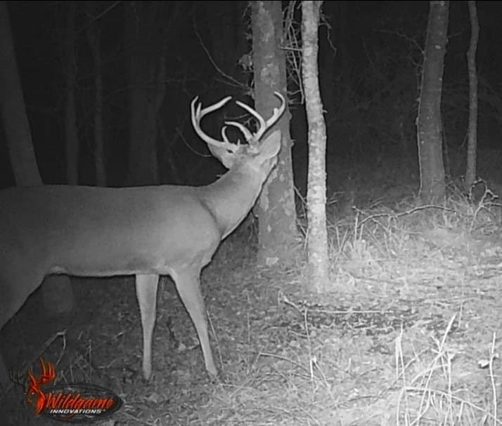 21.47 acres in Navarro County - photo 15