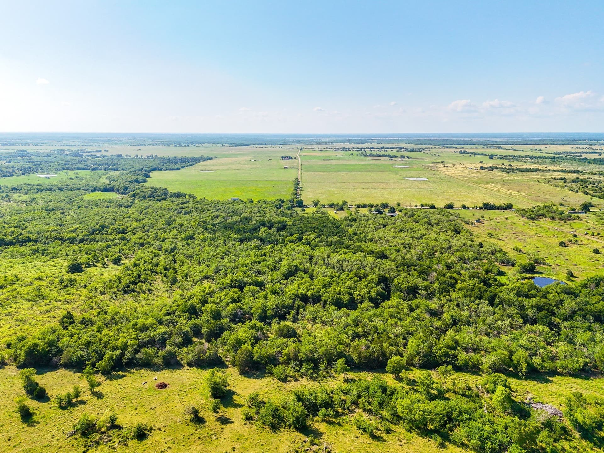 21.47 acres in Navarro County - photo 7