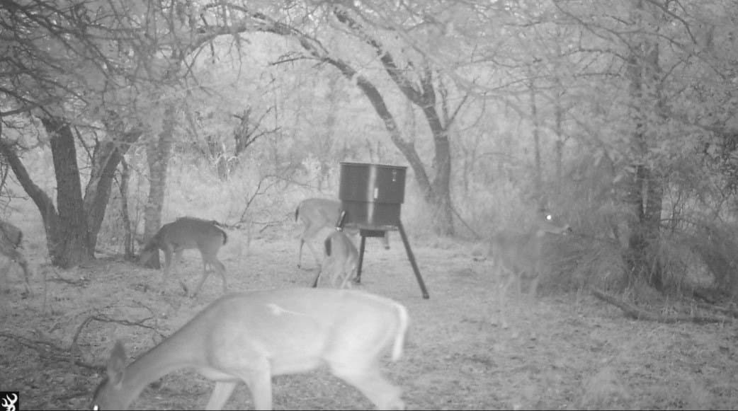 21.47 acres in Navarro County - photo 19