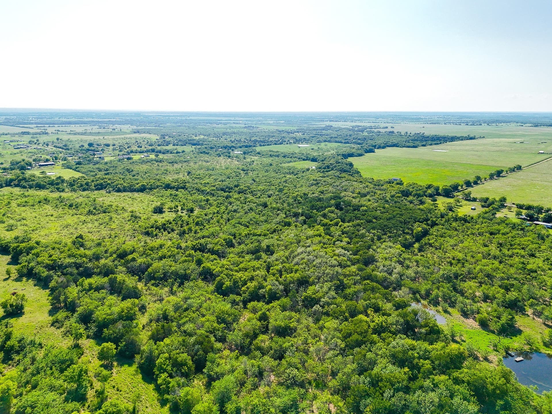 21.47 acres in Navarro County - photo 9