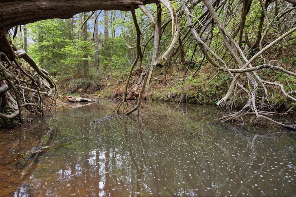 69.19 acres in HENDERSON County - photo 33