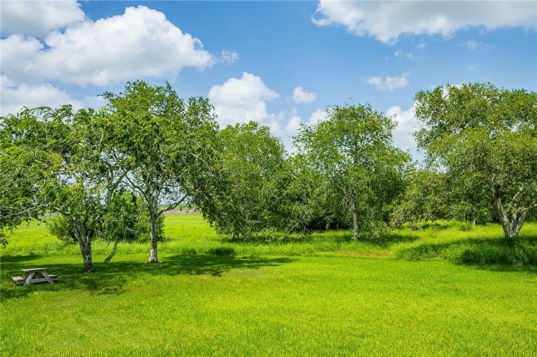 10.09 acres in San Patricio County - photo 8