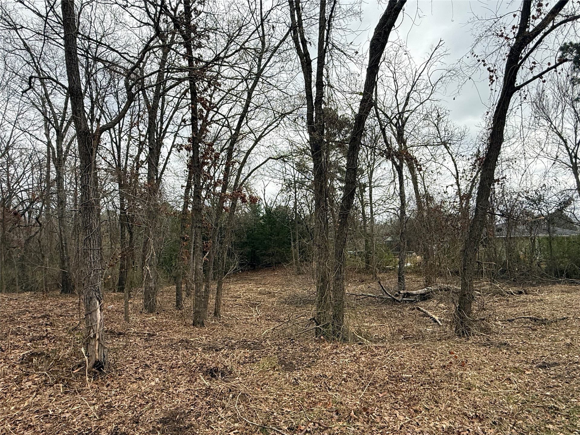 0.25 acres in Van Zandt County - photo 2