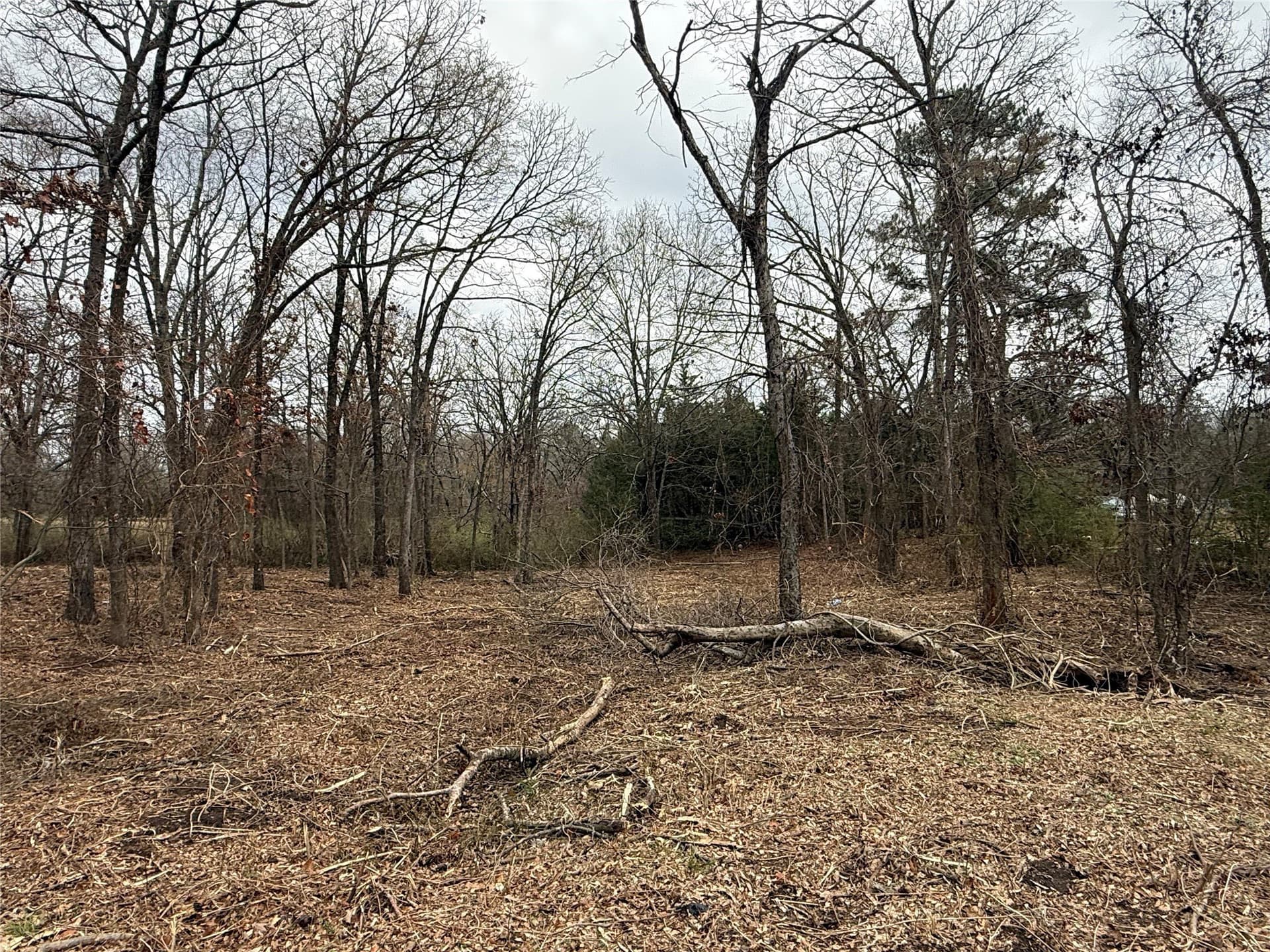 0.25 acres in Van Zandt County - photo 3