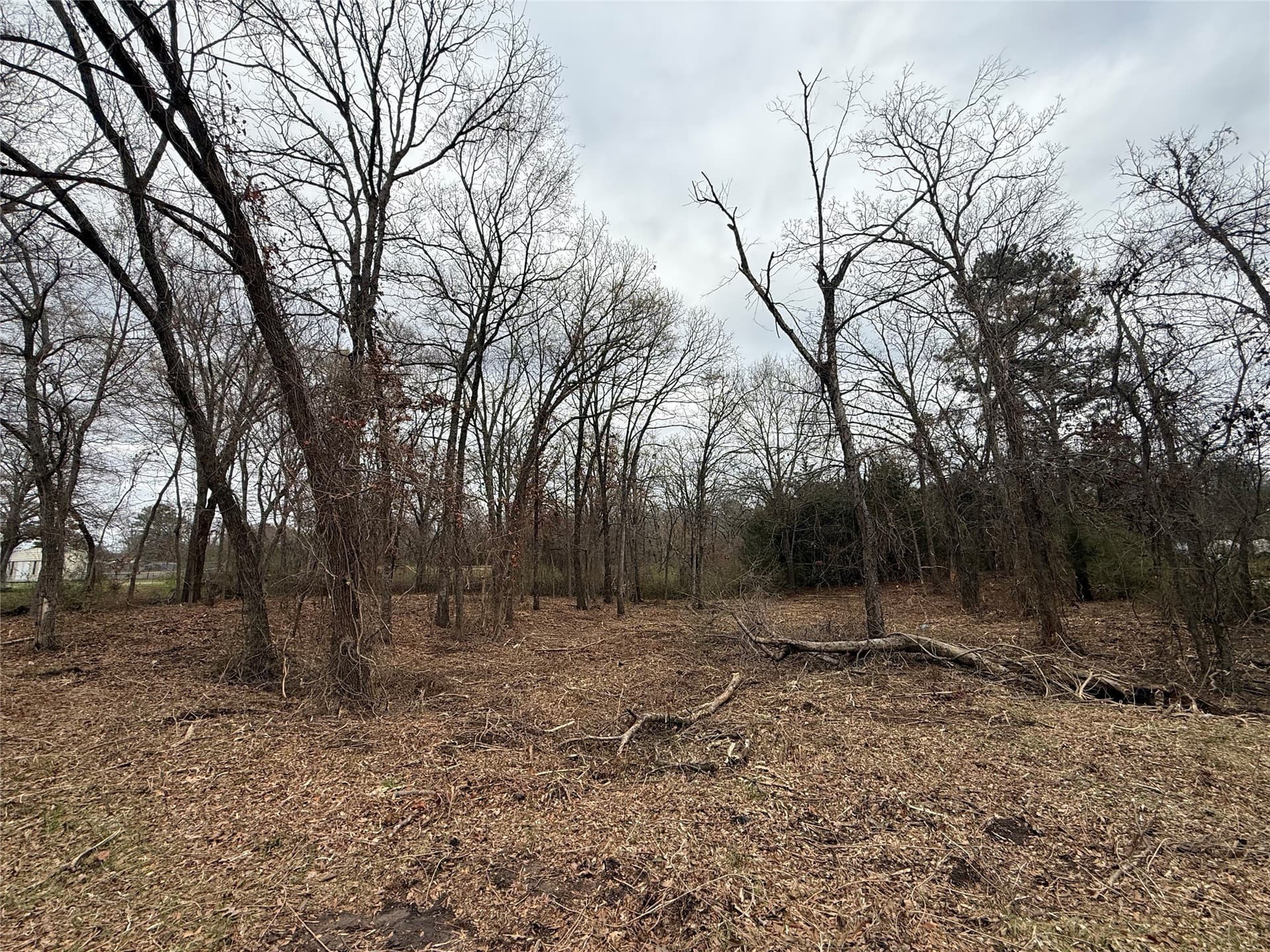 0.25 acres in Van Zandt County - photo 4