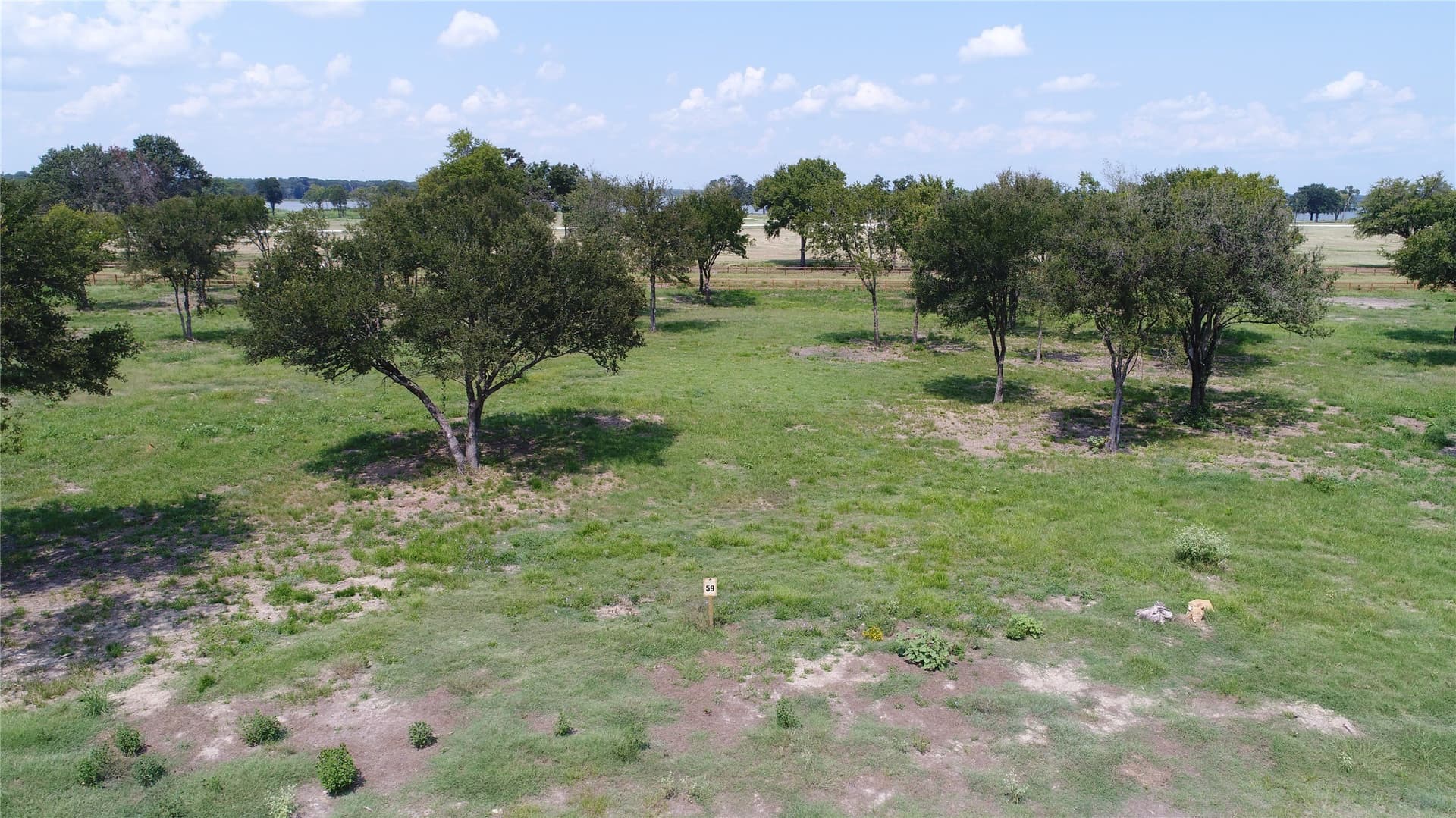 1 acres in Navarro County gallery image 3