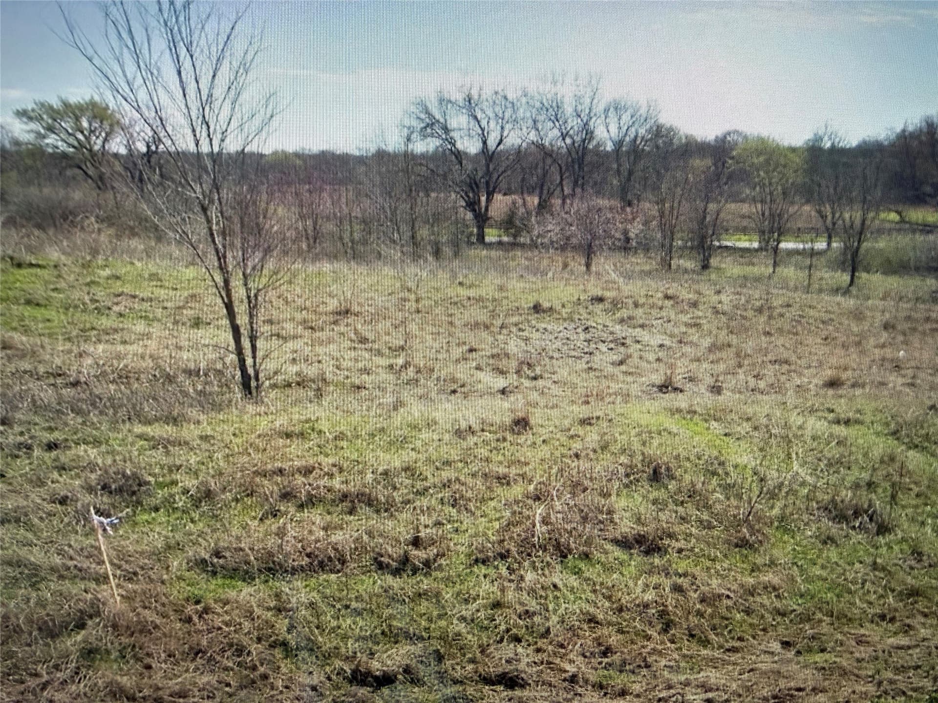 1 acres in Grayson County gallery image 2