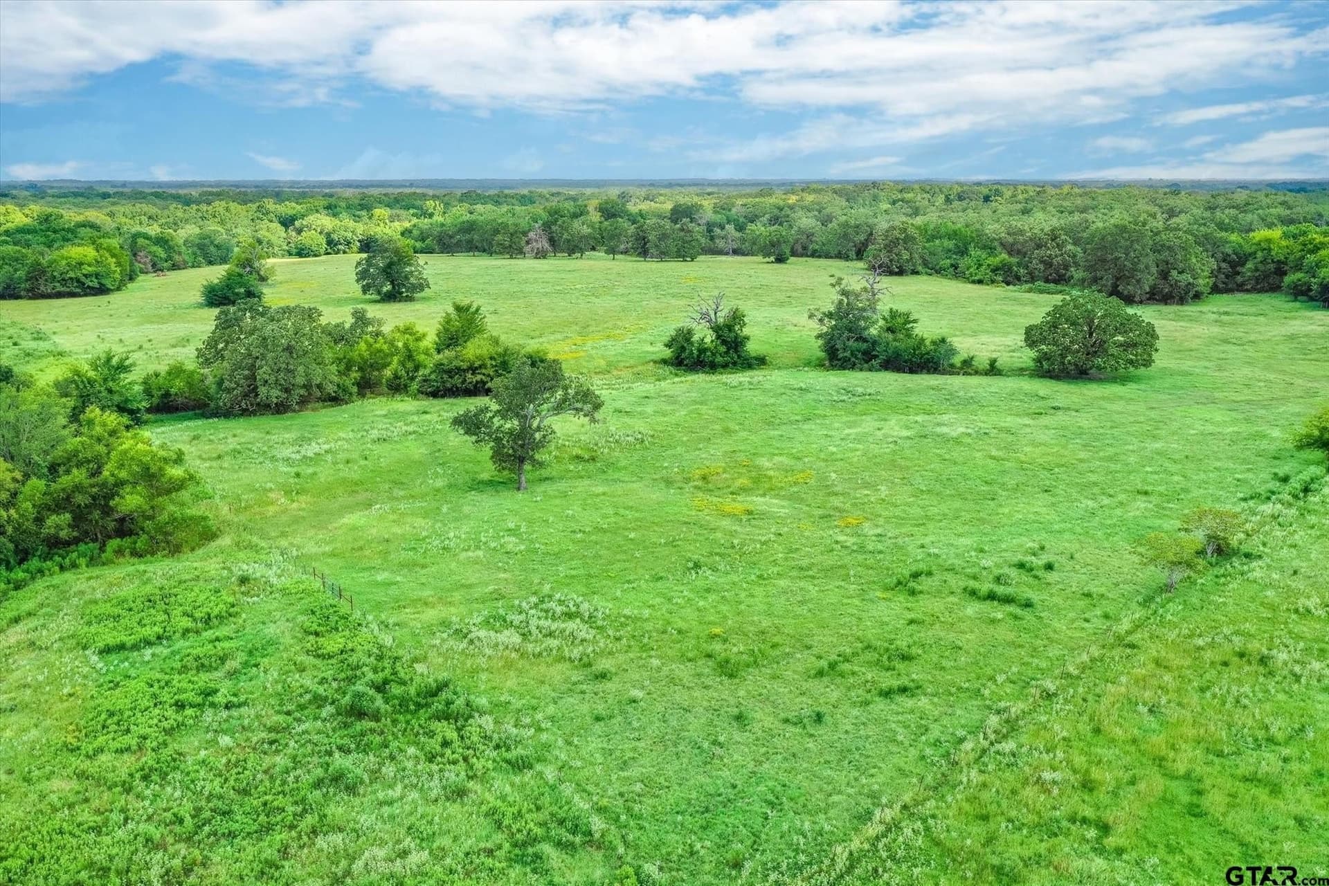 80 acres in Van Zandt County - photo 17