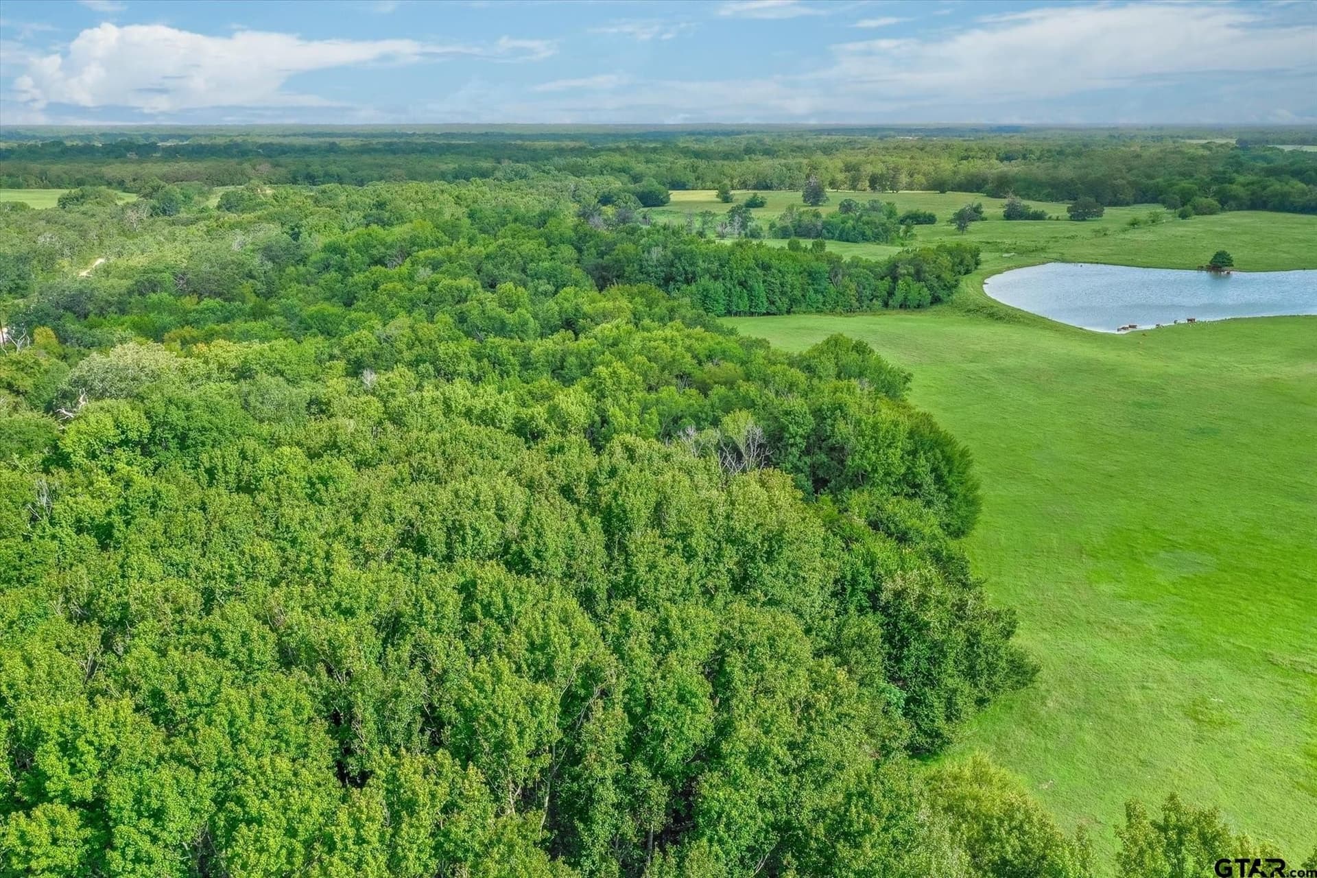 80 acres in Van Zandt County - photo 12