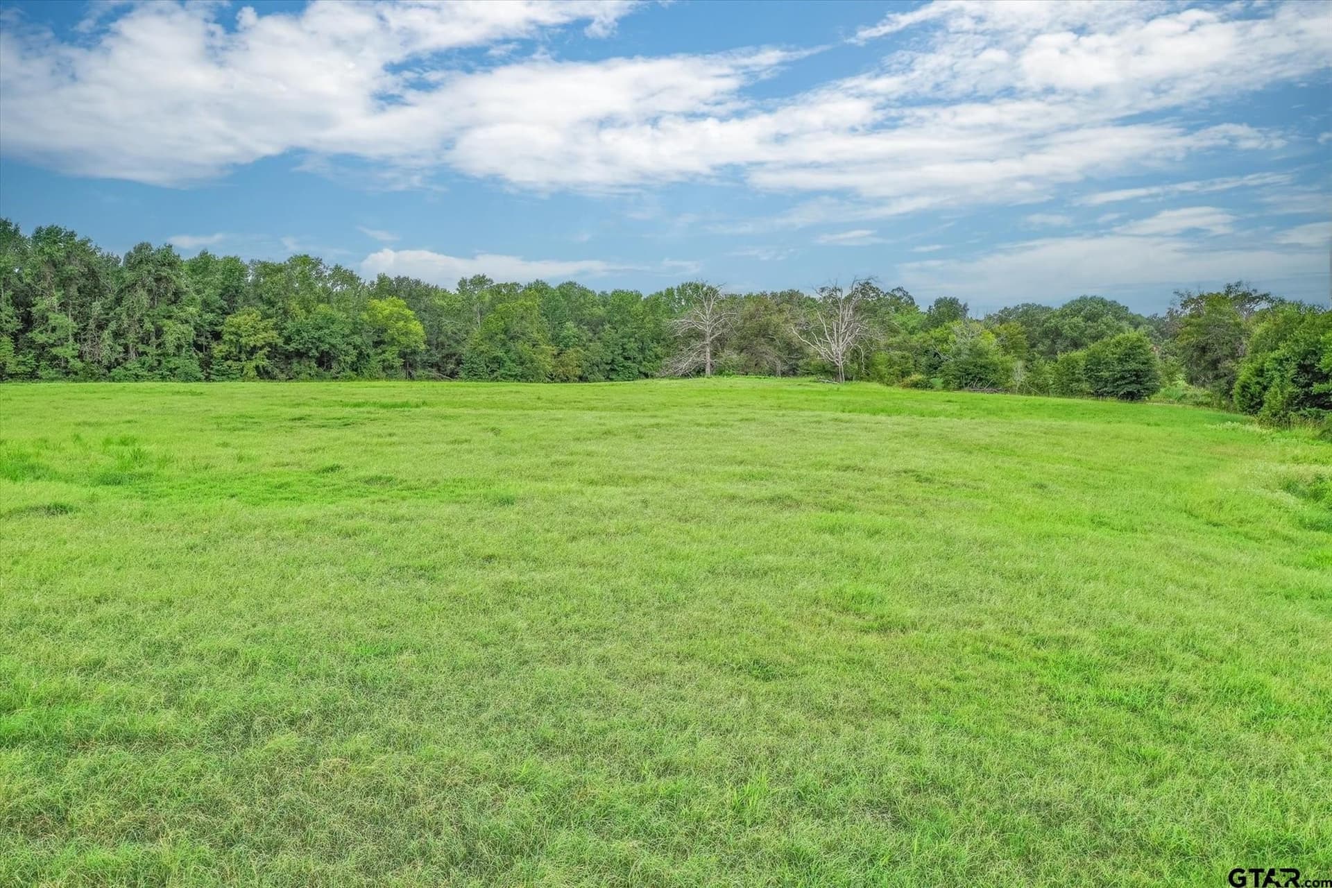 80 acres in Van Zandt County - photo 18
