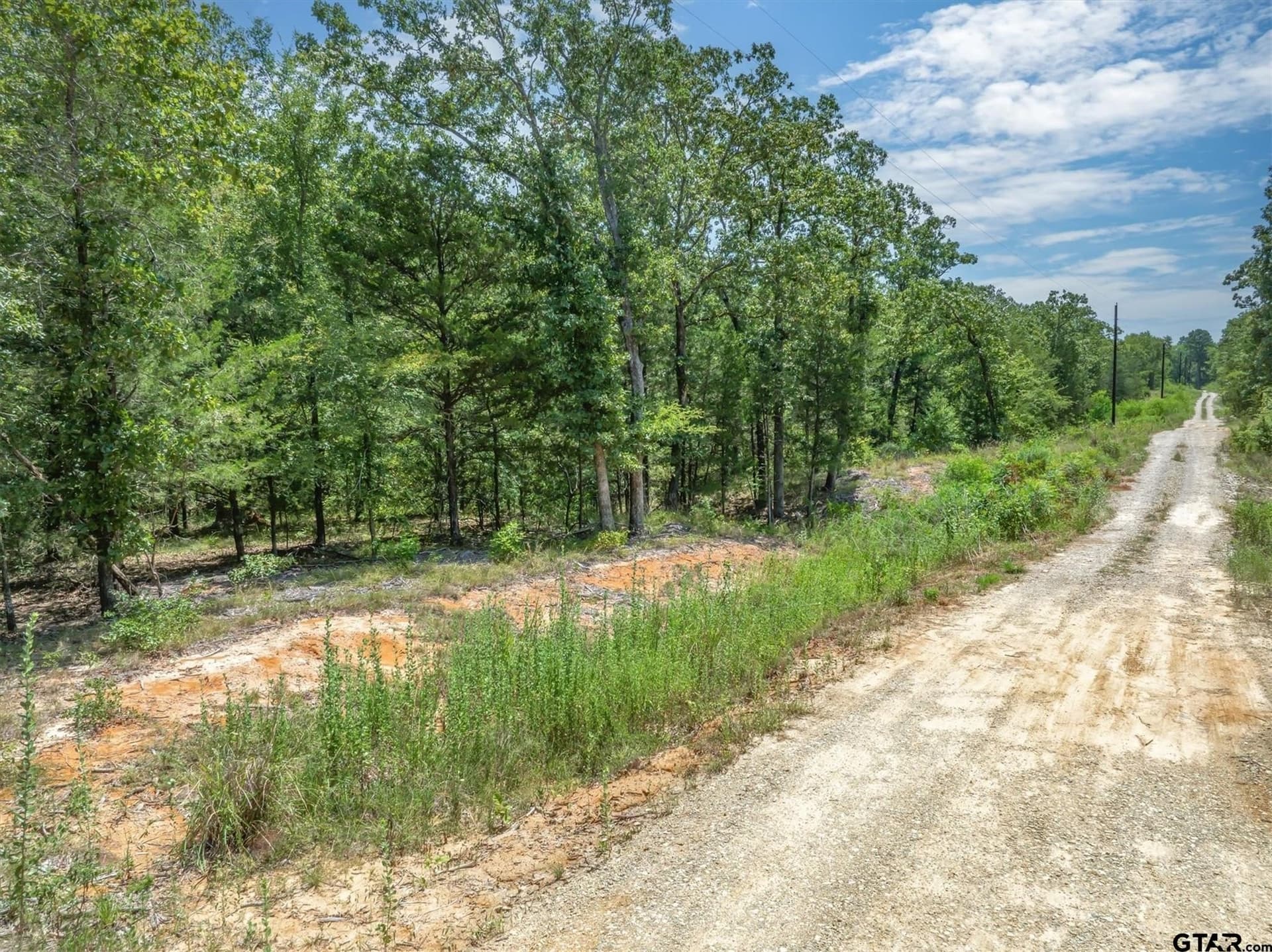 80 acres in Van Zandt County - photo 27