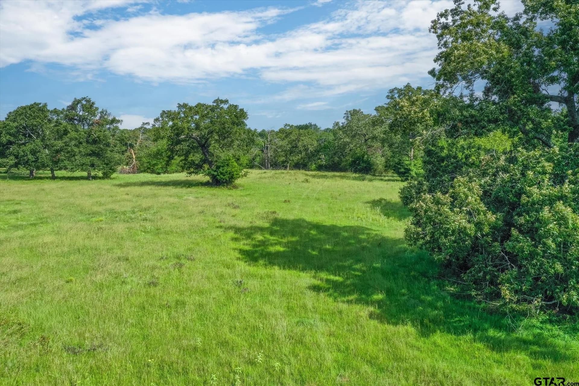80 acres in Van Zandt County - photo 8