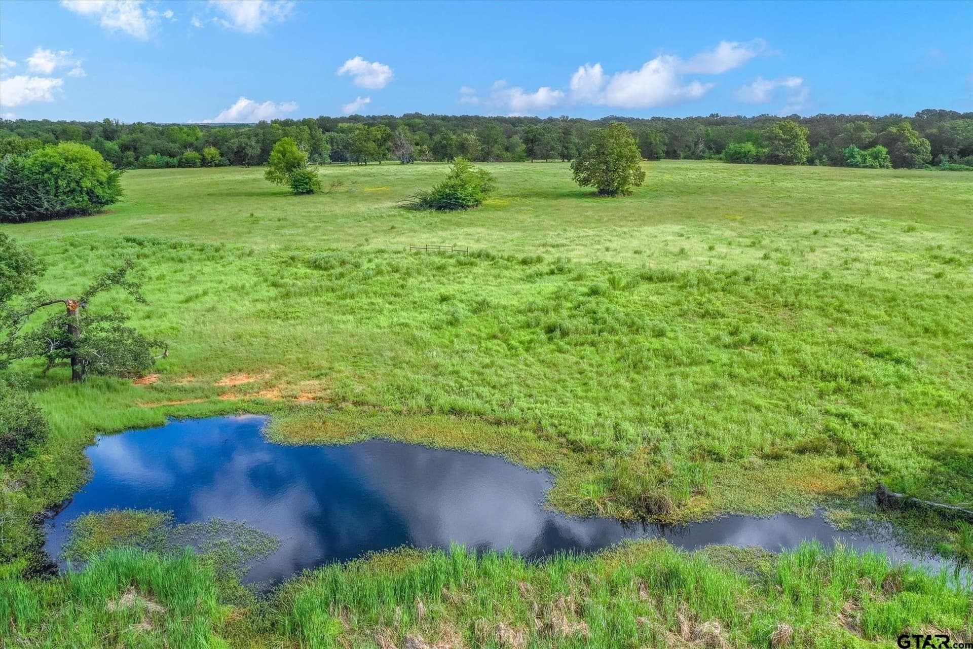 80 acres in Van Zandt County - photo 13