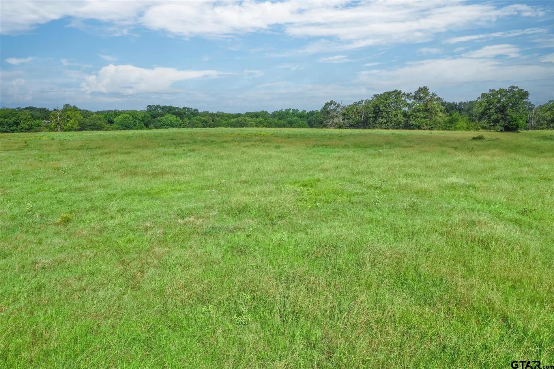 80 acres in Van Zandt County - photo 9