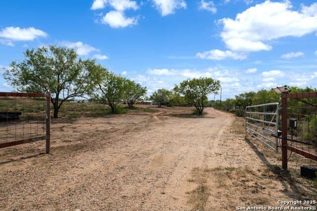 11 acres in Atascosa County gallery image 2