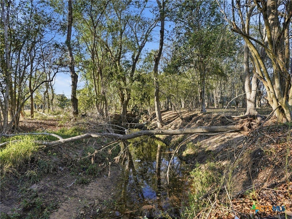 13.39 acres in DeWitt County - photo 38