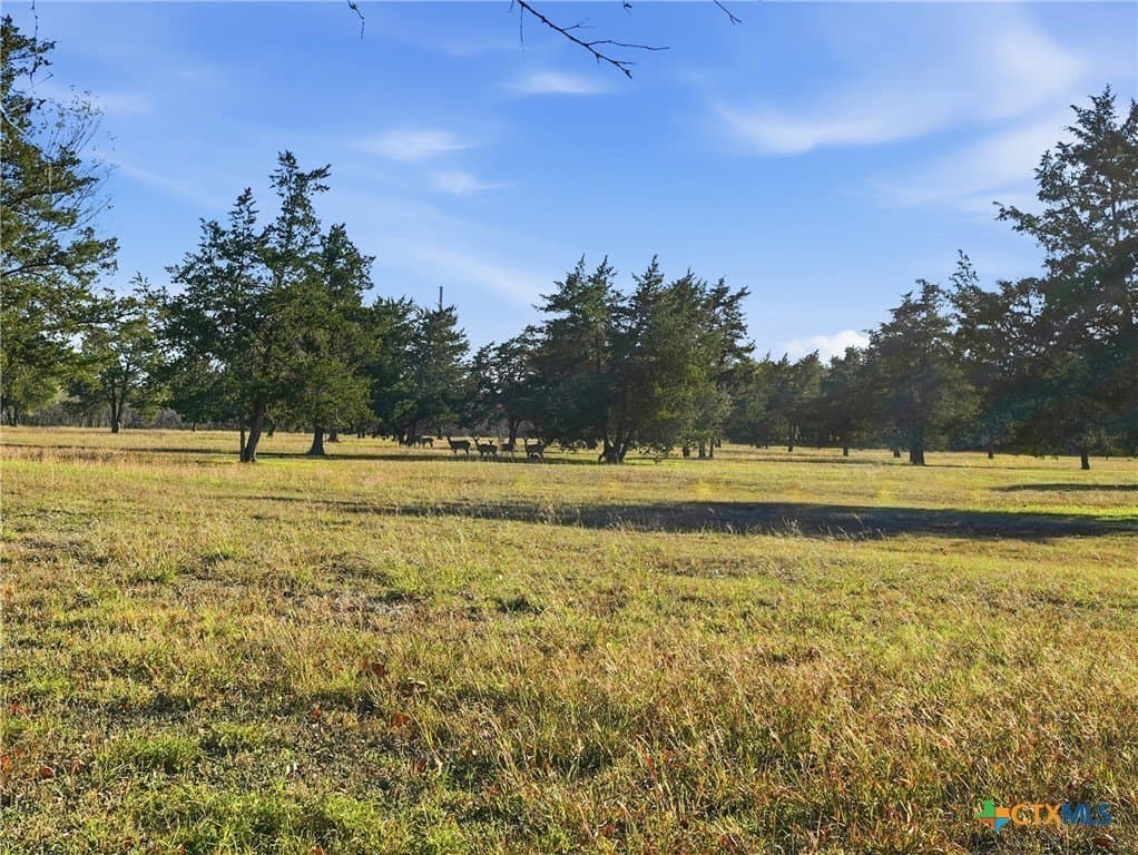 13.39 acres in DeWitt County - photo 34