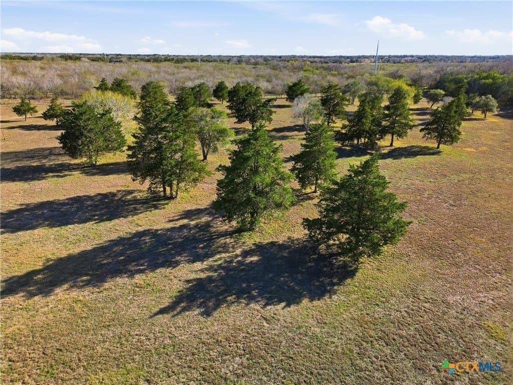 13.39 acres in DeWitt County - photo 13