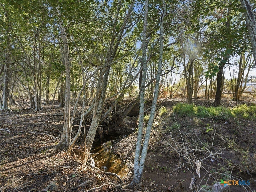 13.39 acres in DeWitt County - photo 31