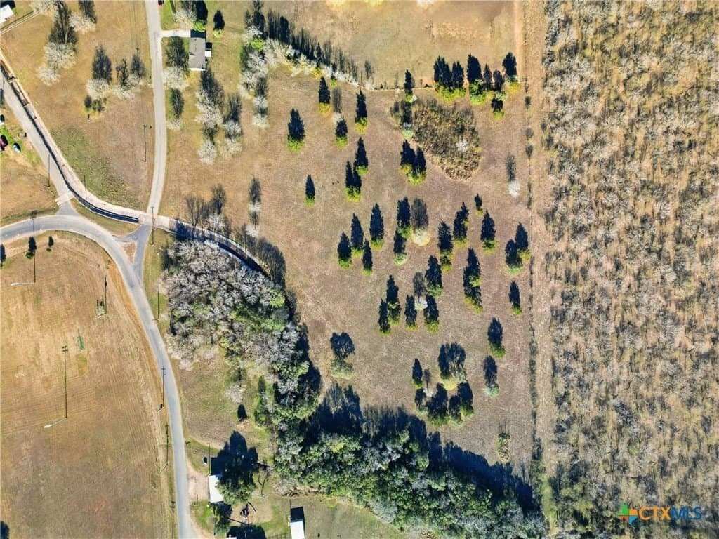 13.39 acres in DeWitt County - photo 16