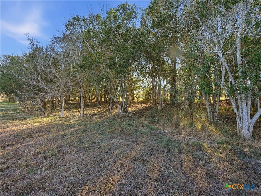 13.39 acres in DeWitt County - photo 32