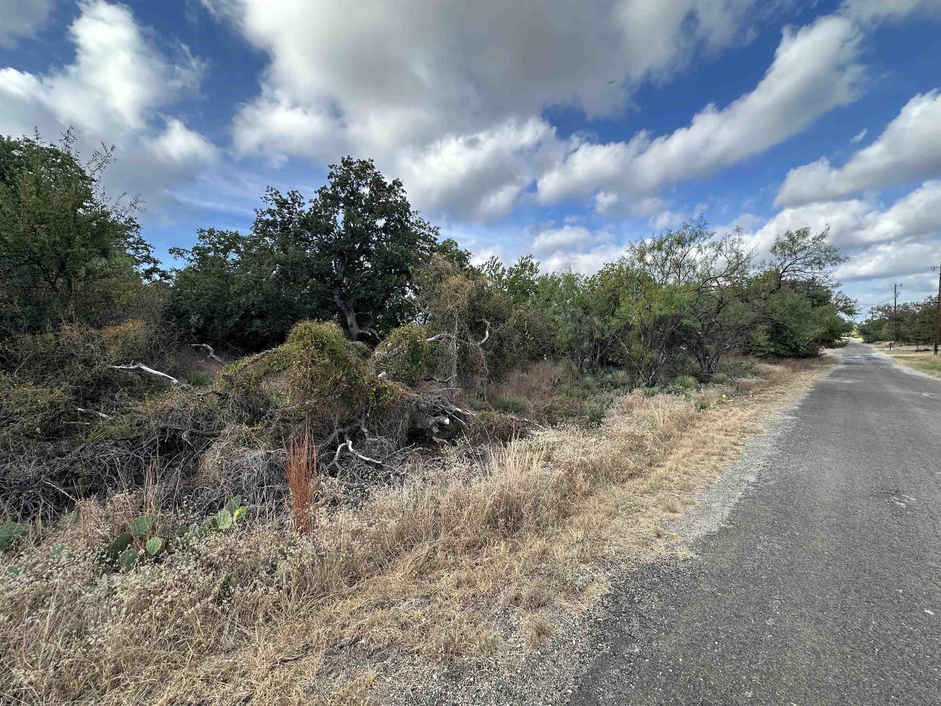 0.48 acres in Burnet County gallery image 3