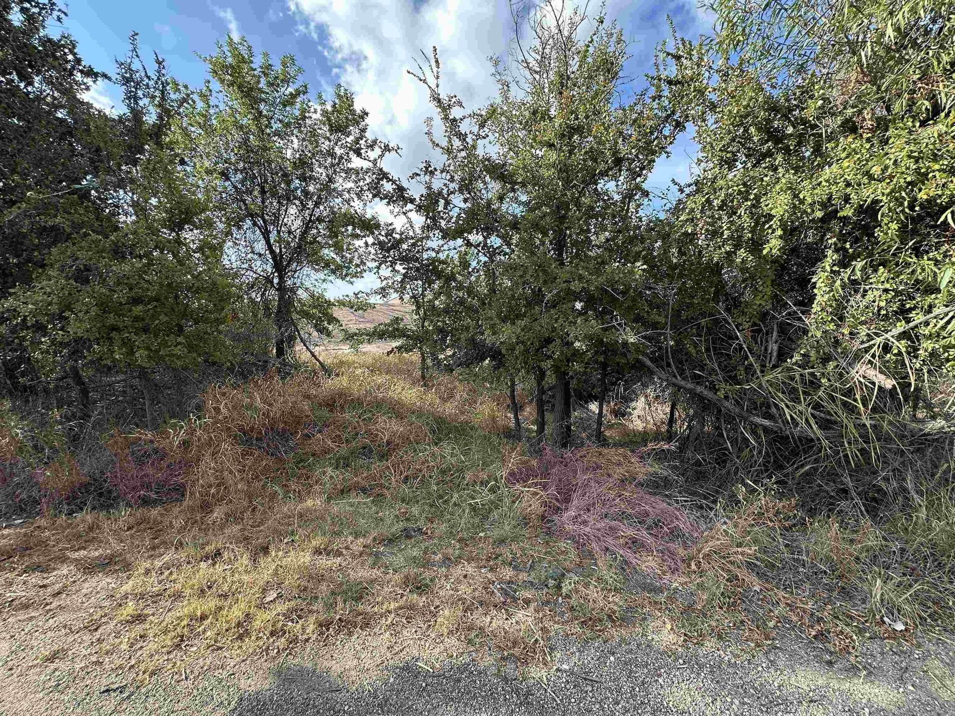 0.48 acres in Burnet County - photo 10