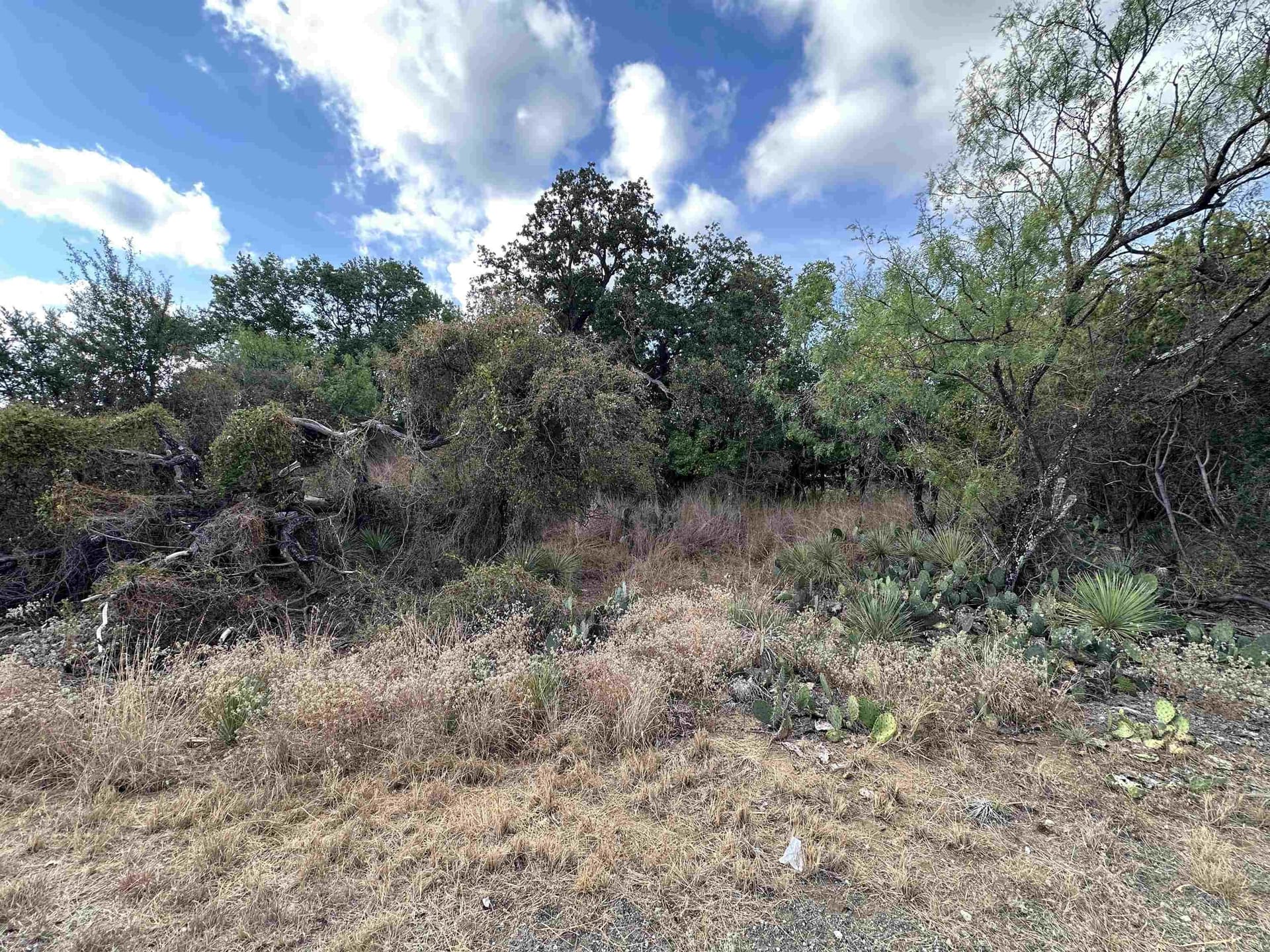 0.48 acres in Burnet County gallery image 4