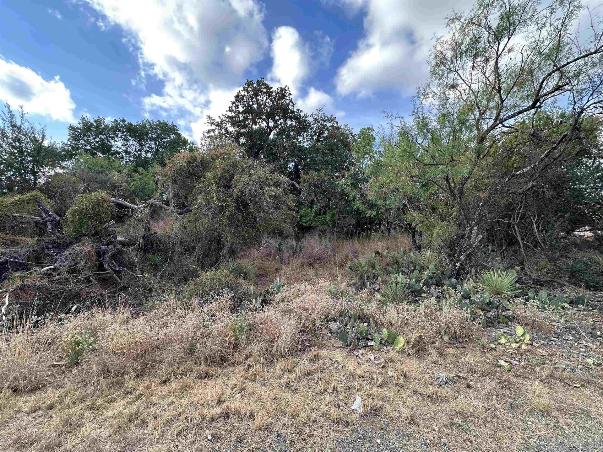 0.48 acres in Burnet County featured view