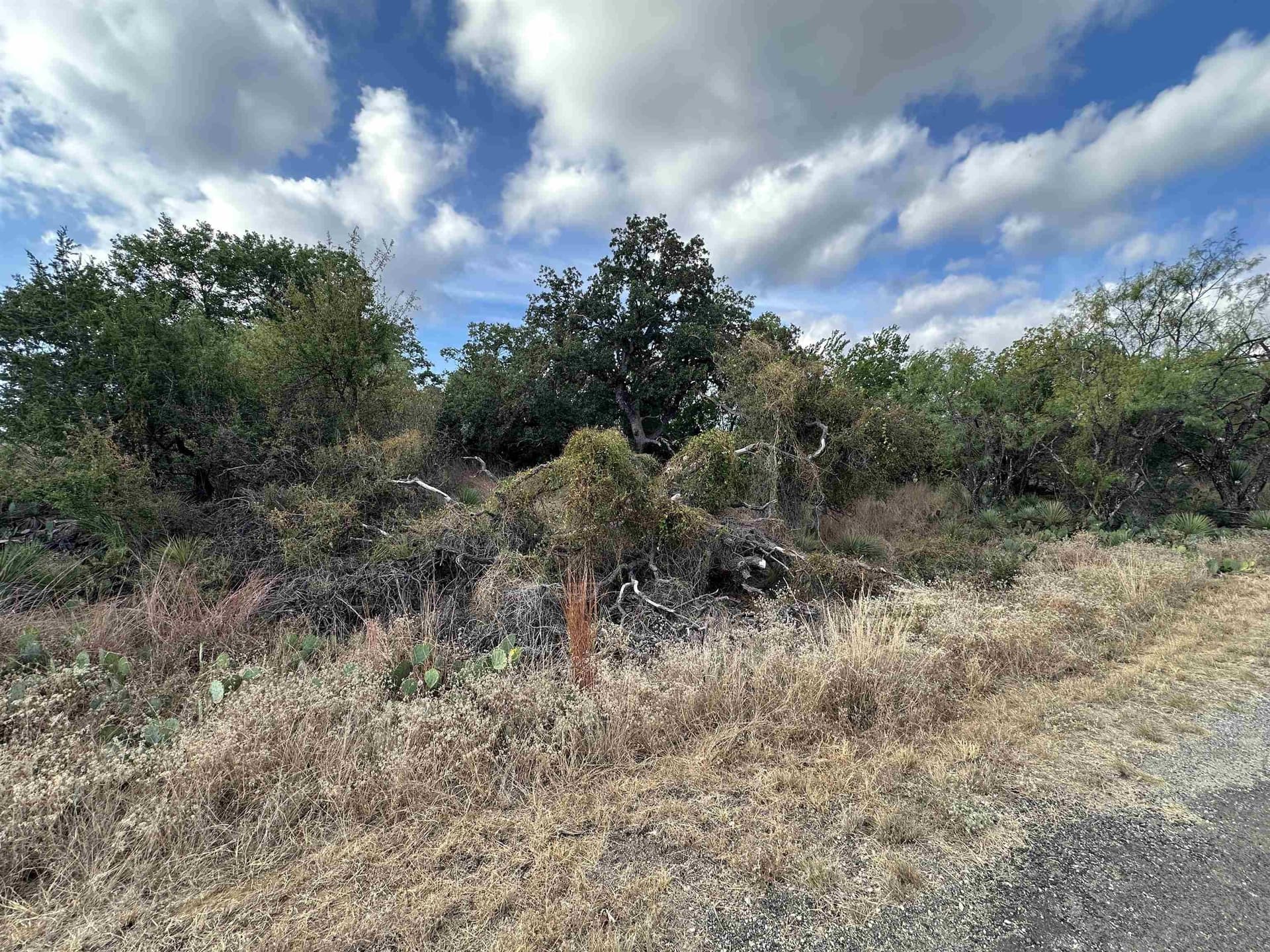 0.48 acres in Burnet County gallery image 2