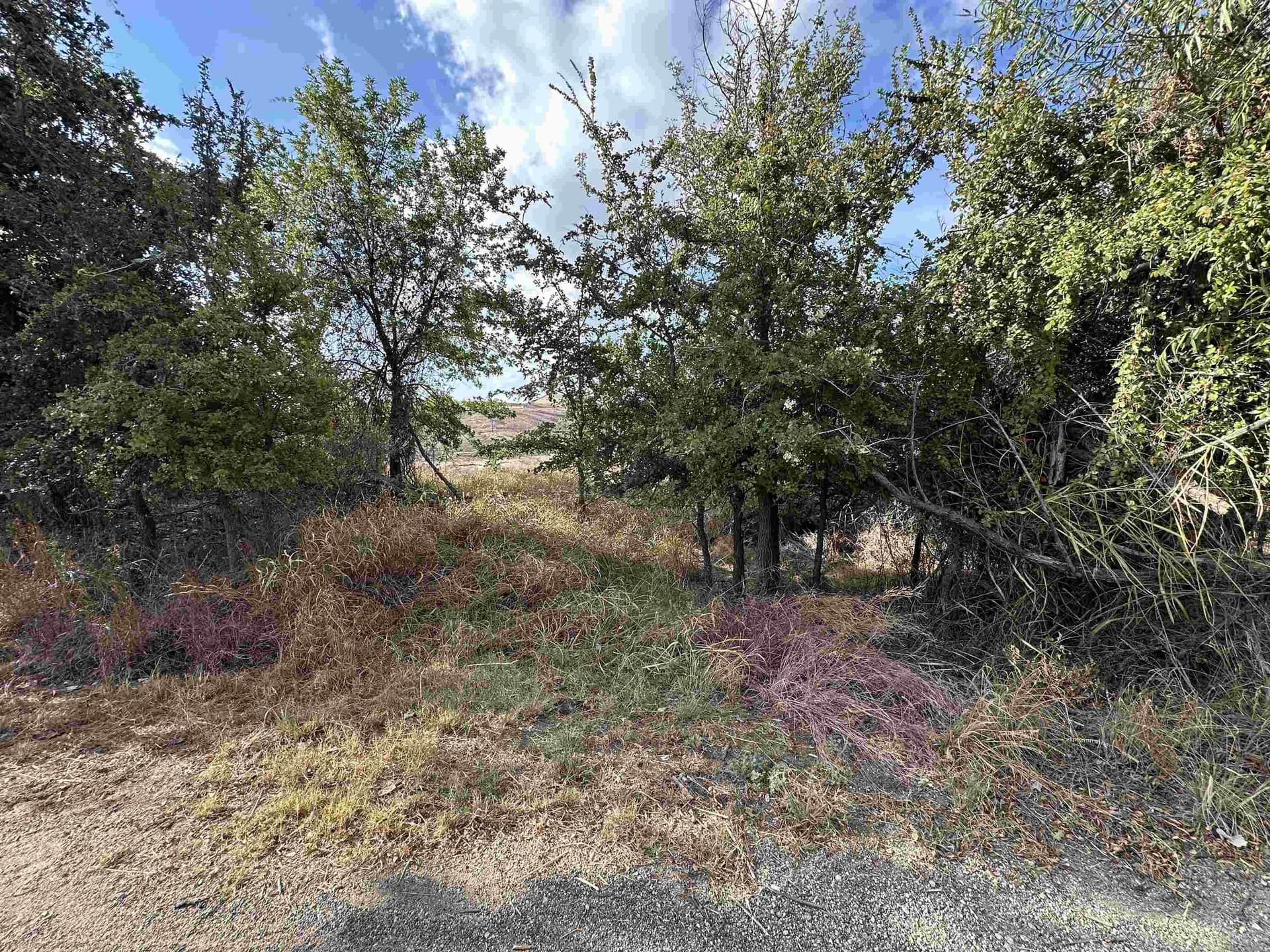 0.48 acres in Burnet County - photo 11