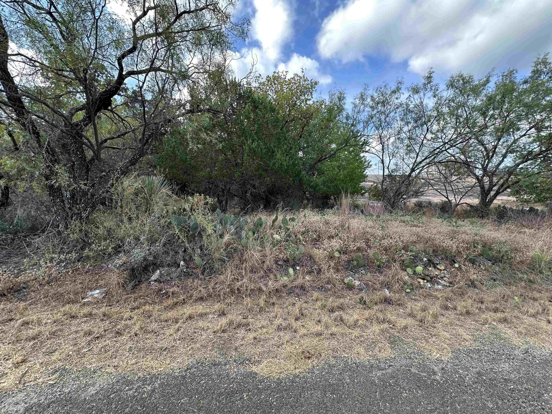 0.48 acres in Burnet County - photo 6