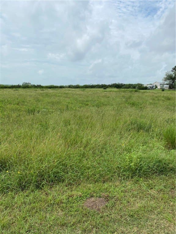 0 acres in Jim Wells County featured view