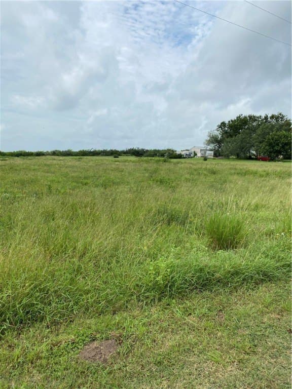 0 acres in Jim Wells County gallery image 4