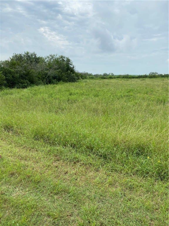 0 acres in Jim Wells County gallery image 3